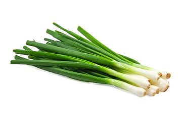 Onions – Green